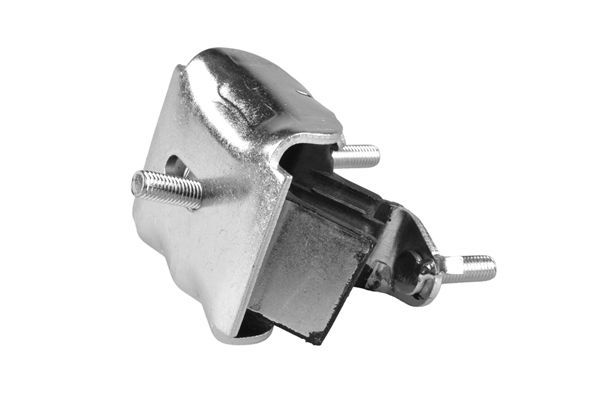 Variklio montavimas TEDGUM 00583940