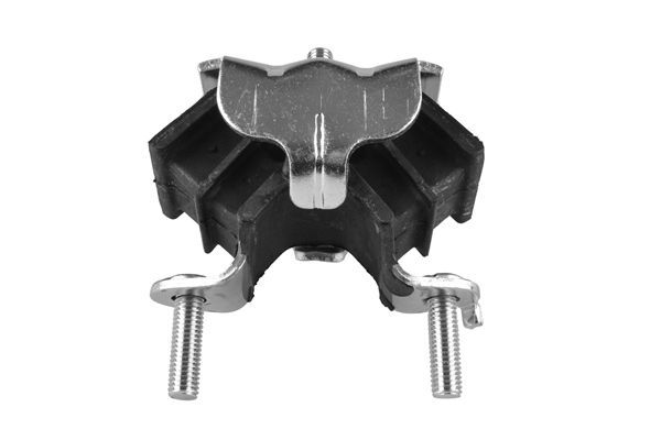 Variklio montavimas TEDGUM 00583940