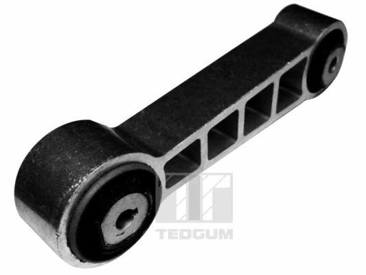 Variklio montavimas TEDGUM 00585734