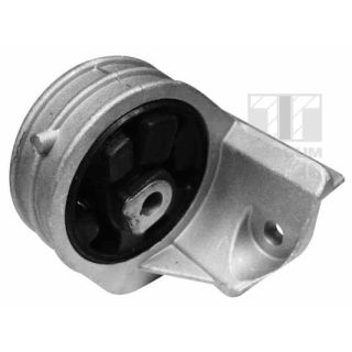 Variklio montavimas TEDGUM 00585856