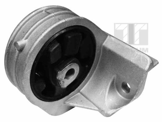 Variklio montavimas TEDGUM 00585856