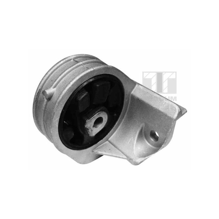 Variklio montavimas TEDGUM 00585856