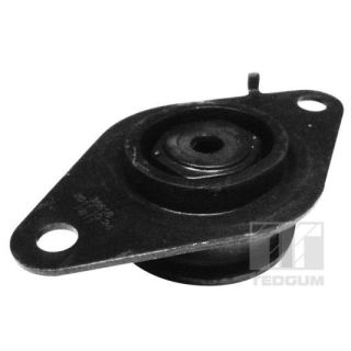 Variklio montavimas TEDGUM 00585993
