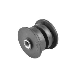 Variklio montavimas TEDGUM 00586033