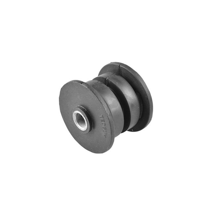 Variklio montavimas TEDGUM 00586033