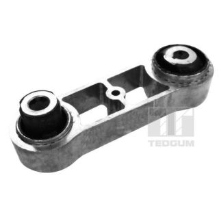 Variklio montavimas TEDGUM 00586040