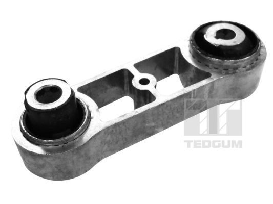 Variklio montavimas TEDGUM 00586040