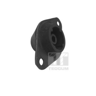 Variklio montavimas TEDGUM 00586236