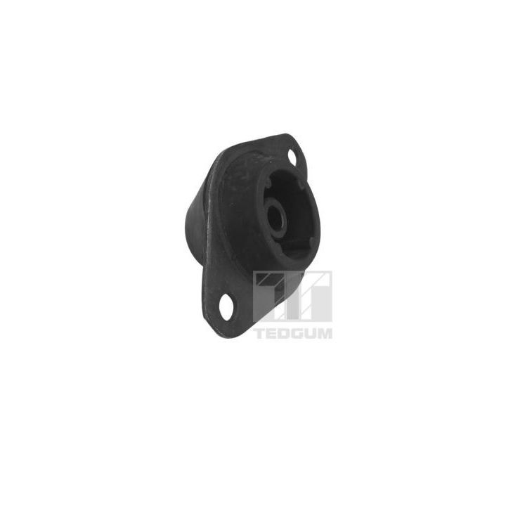 Variklio montavimas TEDGUM 00586236