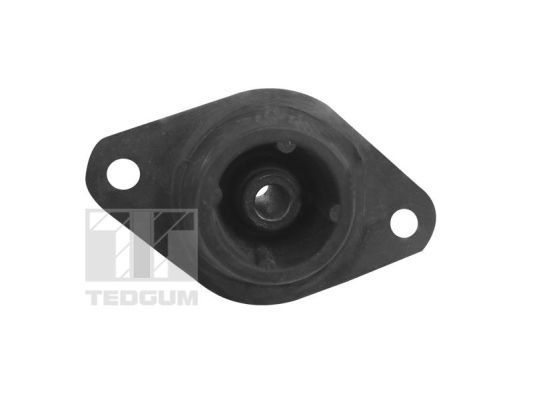 Variklio montavimas TEDGUM 00586236