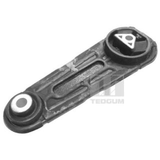 Variklio montavimas TEDGUM 00586572