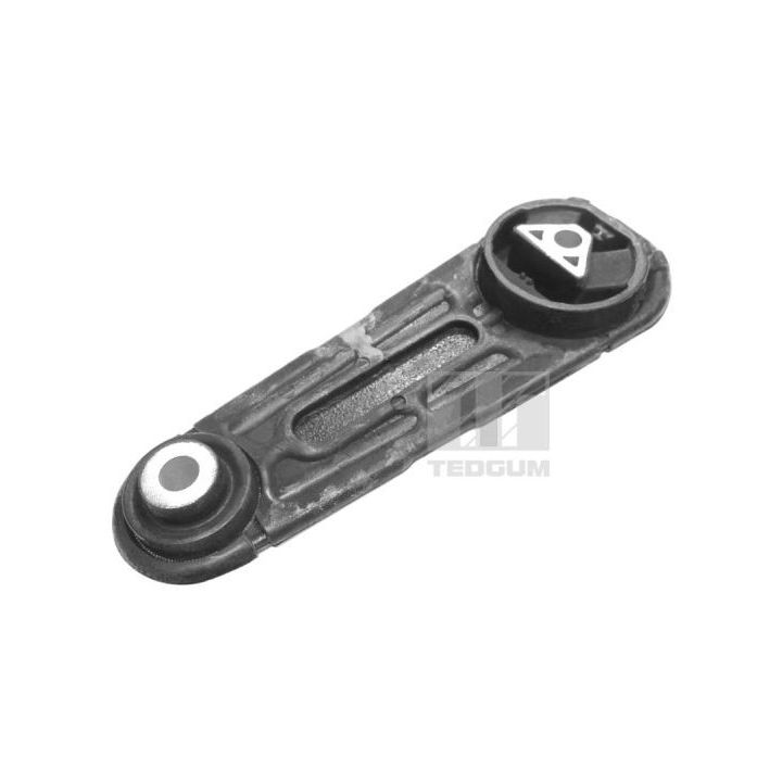 Variklio montavimas TEDGUM 00586572