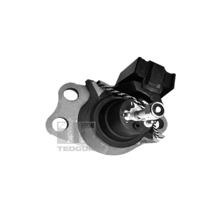 Variklio montavimas TEDGUM 00586865