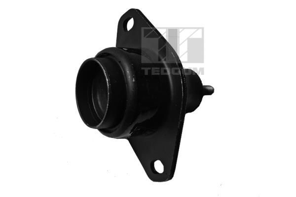 Variklio montavimas TEDGUM 00587932