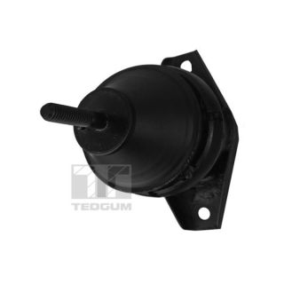 Variklio montavimas TEDGUM 00600036