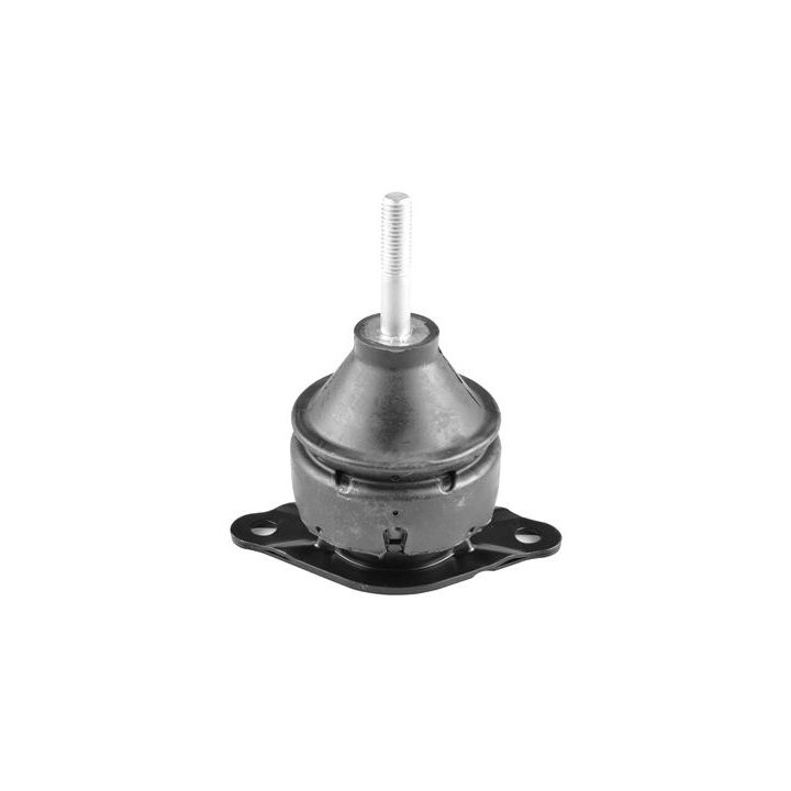 Variklio montavimas TEDGUM 00603292