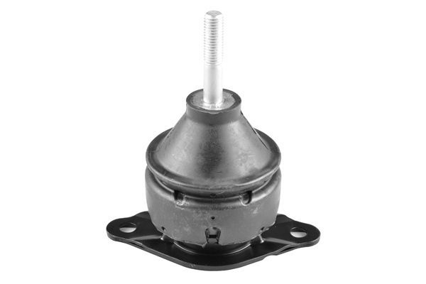 Variklio montavimas TEDGUM 00603292