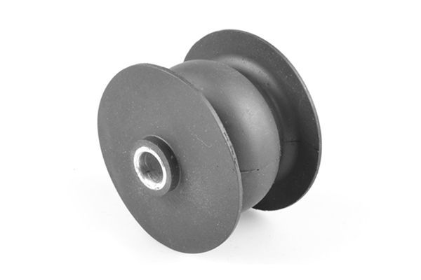 Variklio montavimas TEDGUM 00603794