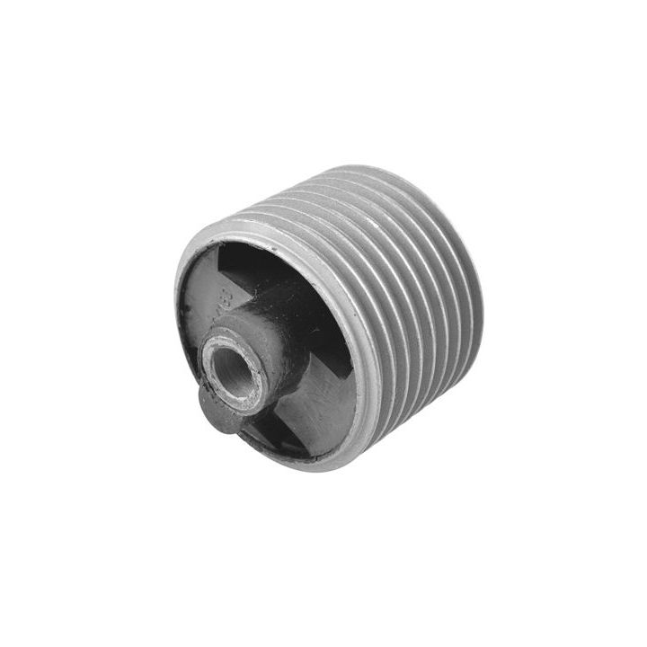 Variklio montavimas TEDGUM 00604180