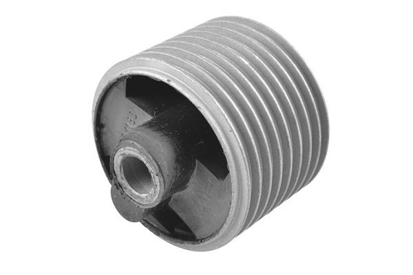 Variklio montavimas TEDGUM 00604180