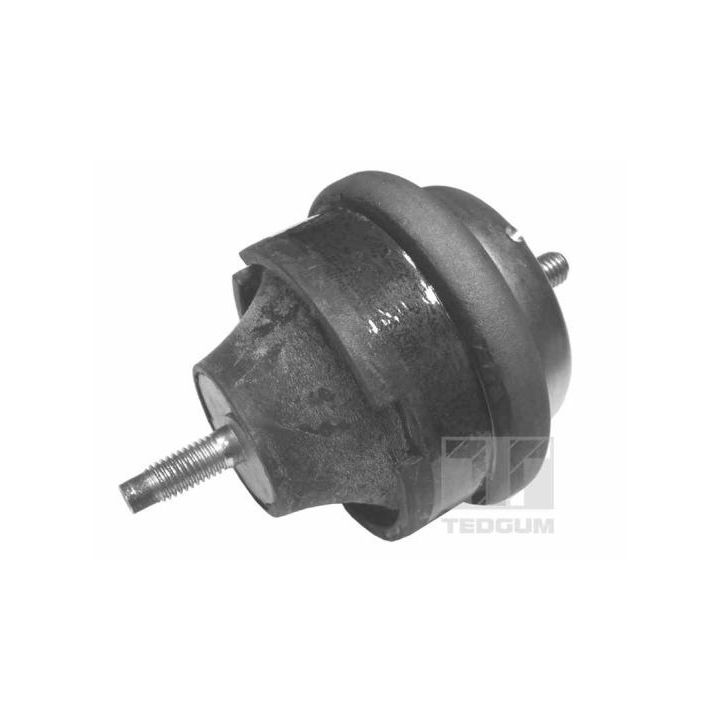 Variklio montavimas TEDGUM 00605017