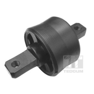 Variklio montavimas TEDGUM 00606292