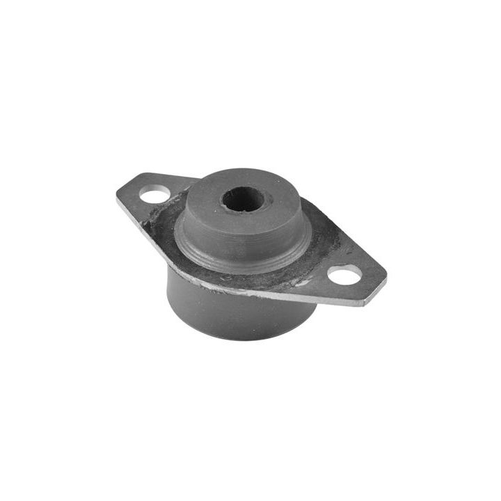 Variklio montavimas TEDGUM 00606725