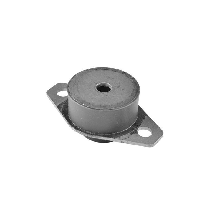 Variklio montavimas TEDGUM 00606725