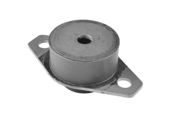 Variklio montavimas TEDGUM 00606725