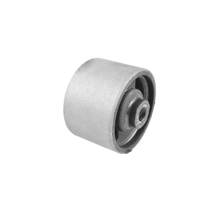 Variklio montavimas TEDGUM 00607021