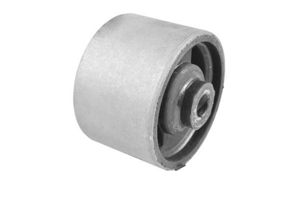 Variklio montavimas TEDGUM 00607021