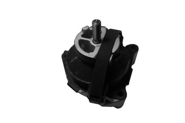 Variklio montavimas TEDGUM 00617581