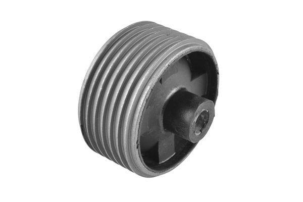 Variklio montavimas TEDGUM 00672943