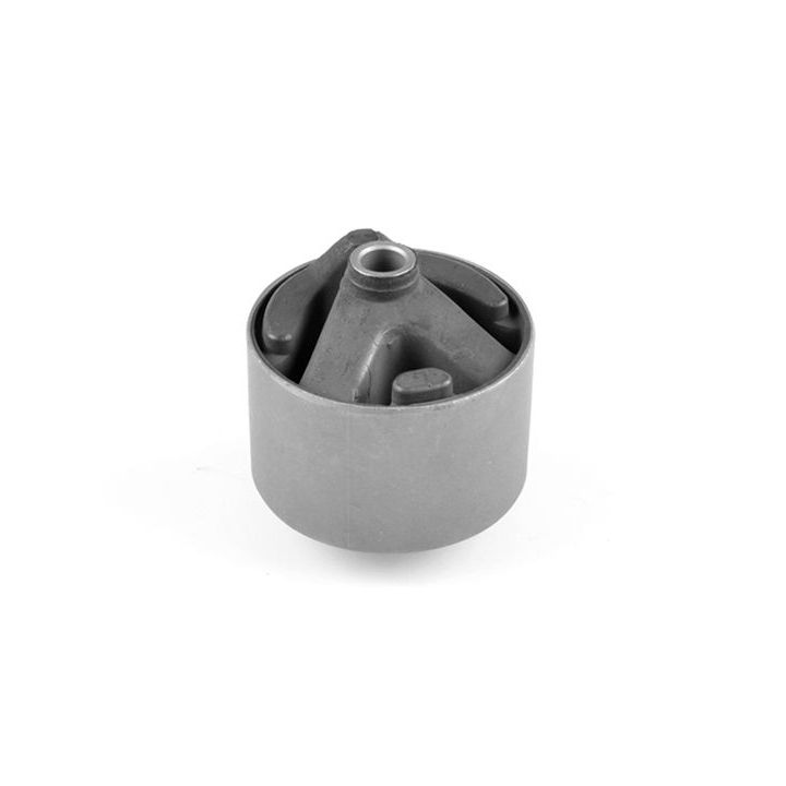 Variklio montavimas TEDGUM 00747791