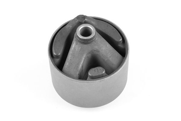 Variklio montavimas TEDGUM 00747791