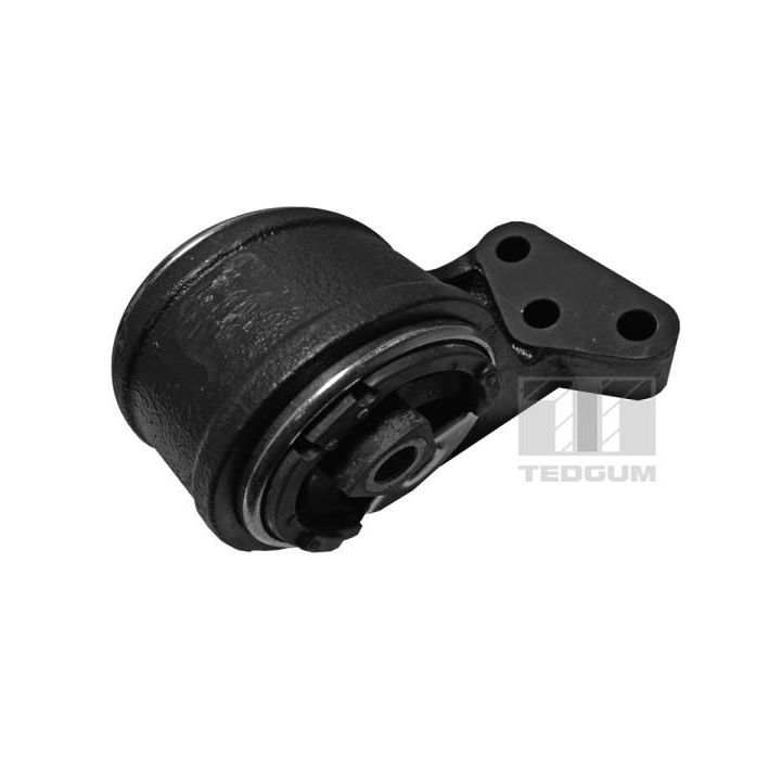Variklio montavimas TEDGUM 00747972