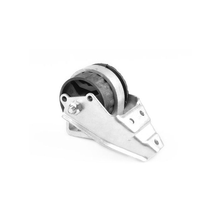 Variklio montavimas TEDGUM 01008480