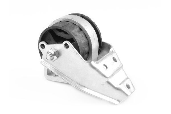 Variklio montavimas TEDGUM 01008480