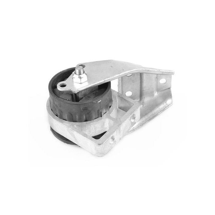 Variklio montavimas TEDGUM 01008480