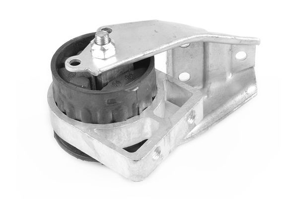 Variklio montavimas TEDGUM 01008480