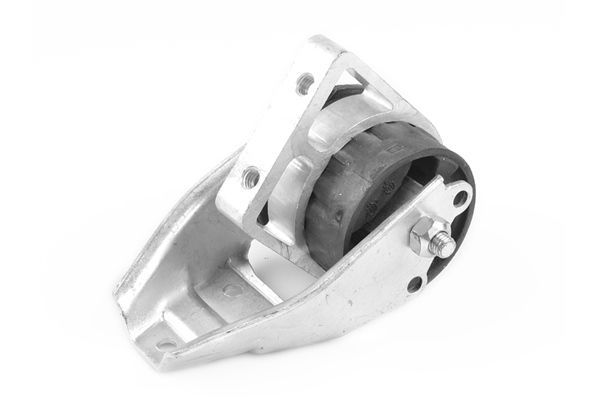 Variklio montavimas TEDGUM 01008480