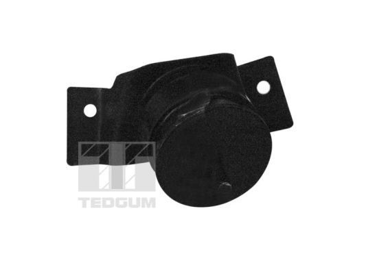 Variklio montavimas TEDGUM 01109649