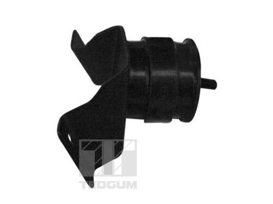 Variklio montavimas TEDGUM 01109649