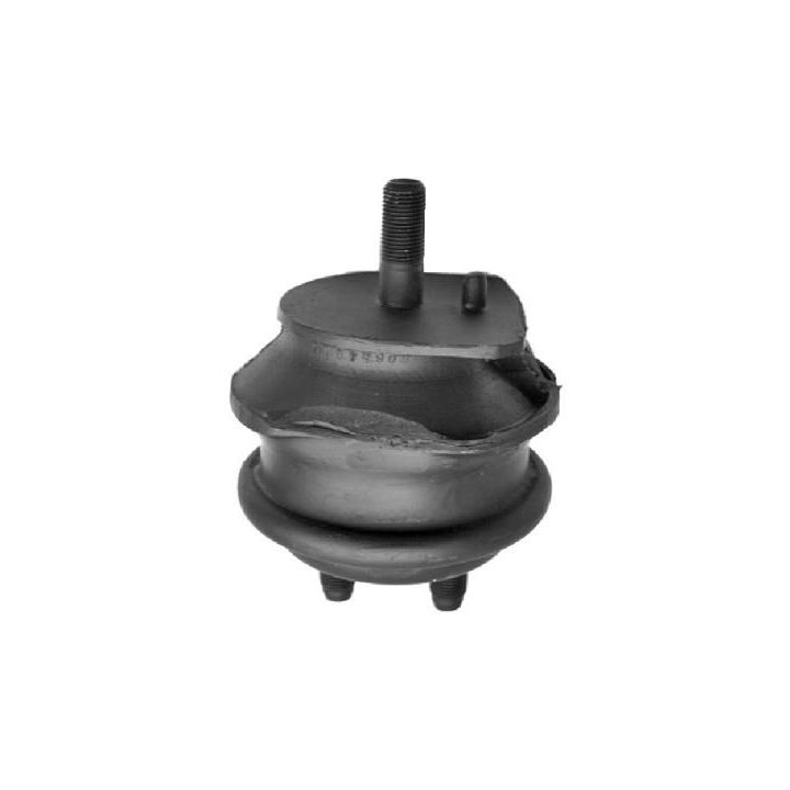 Variklio montavimas TEDGUM 01135416