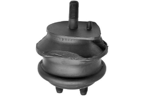 Variklio montavimas TEDGUM 01135416