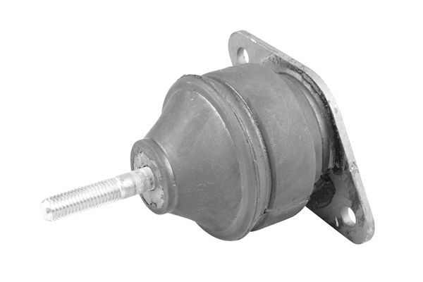 Variklio montavimas TEDGUM 01160777