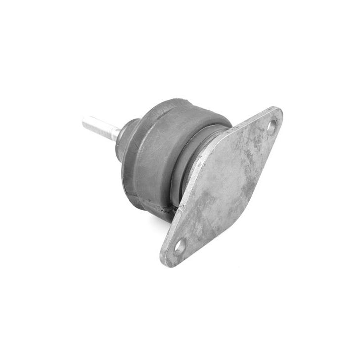 Variklio montavimas TEDGUM 01160777