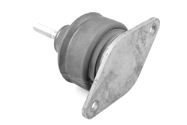 Variklio montavimas TEDGUM 01160777