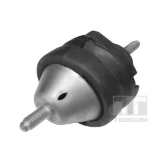 Variklio montavimas TEDGUM 01296915