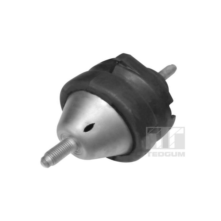 Variklio montavimas TEDGUM 01296915